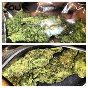 Meet your Posher, Jordan